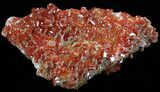 Red Vanadinite Crystal Cluster - Morocco #38527-2